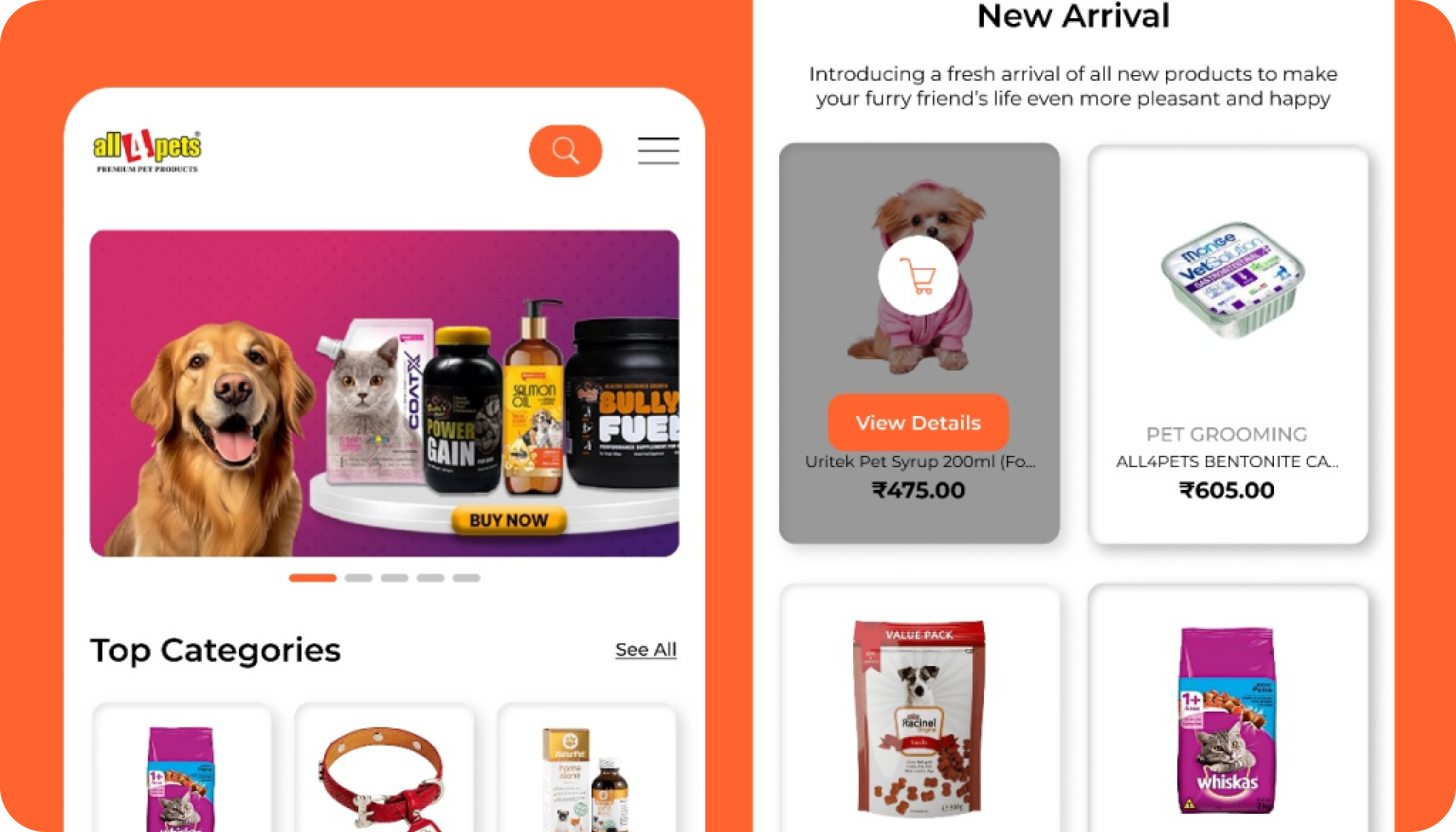 Google Pay App Design